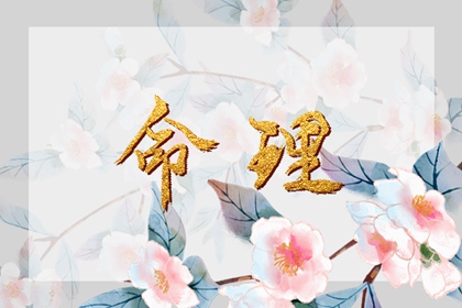 万年历农历查询表2026年_历万年历农历黄历_老皇历农历